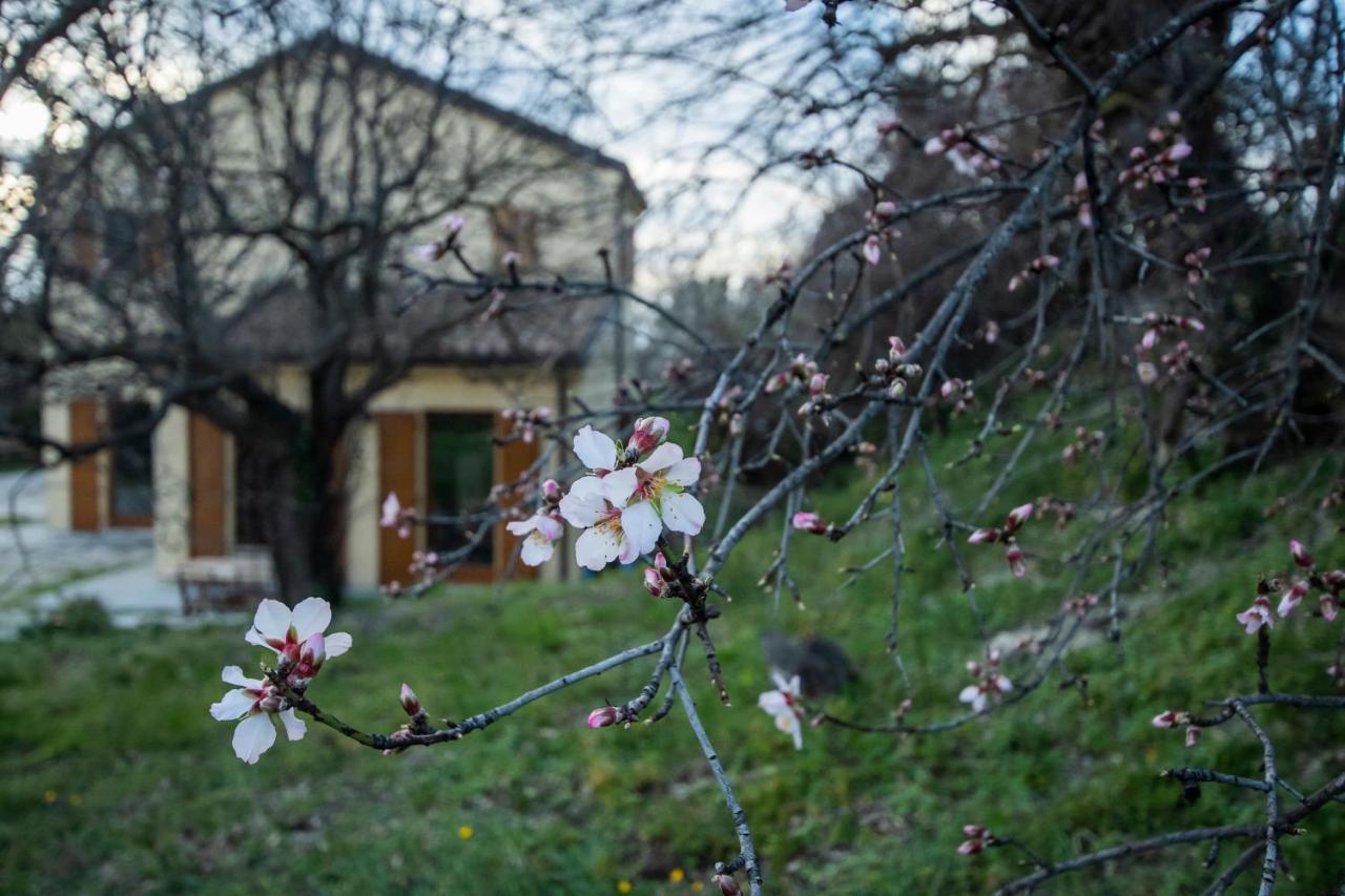 Agriturismo Conero Ancona Exteriér fotografie